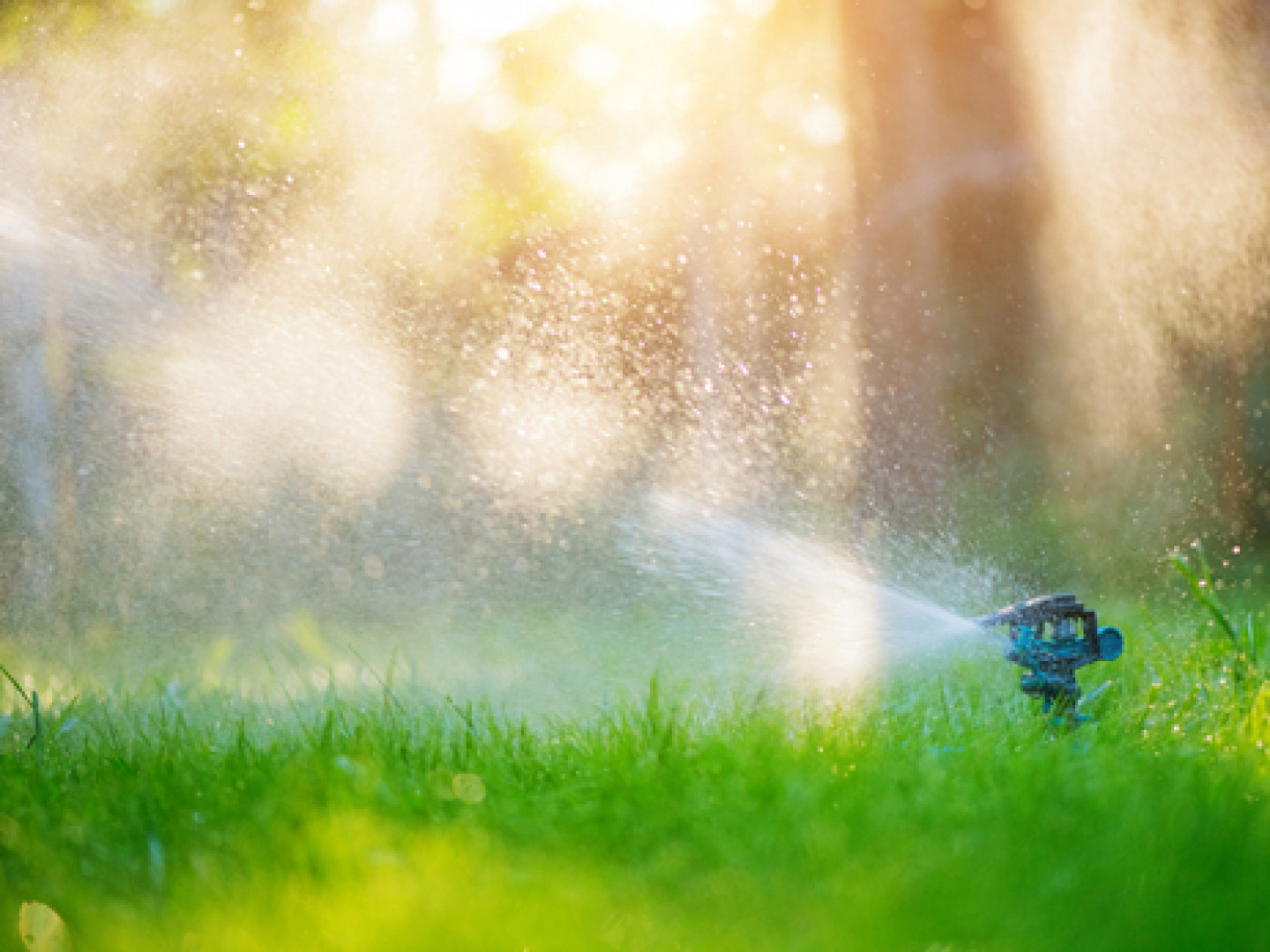 Sprinkler Systems, Irrigation Systems Kalamazoo, Portage, Mattawan